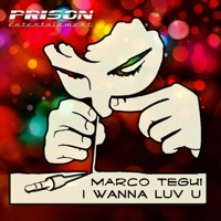 I Wanna Luv U - Single - Marco Tegui
