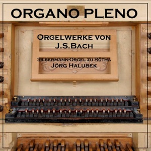 Organo Pleno