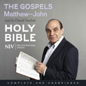 NIV Bible 7: The Gospels