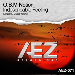 Indescribable Feeling - Single