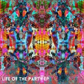 Life of the Party - EP artwork