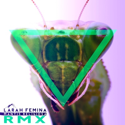 Mantis Religiosa Rmx