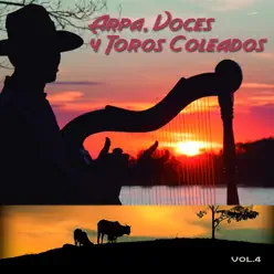 Arpa, Voces y Toros Coleados, Vol. 4 - Cheo Hernández Prisco