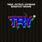 Try (Tmgk & Patrick Hofmann Club Edit) - TMGK, Patrick Hofmann & Barefoot Brains lyrics