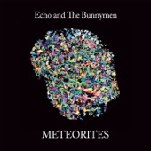 Meteorites cover