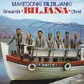 Makedonki bilbiljanki