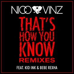 That's How You Know (feat. Kid Ink & Bebe Rexha) [Remixes] - Single - Nico & Vinz
