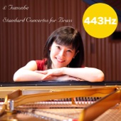 Horn Concerto No. 4 in E-Flat Major, KV 495: Ⅱ. Romanza andante artwork