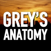 Grey's Anatomy artwork