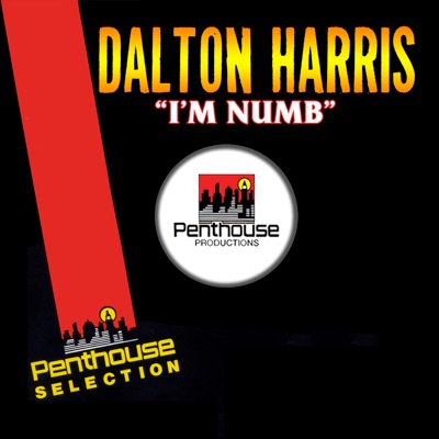 I'm Numb - Single