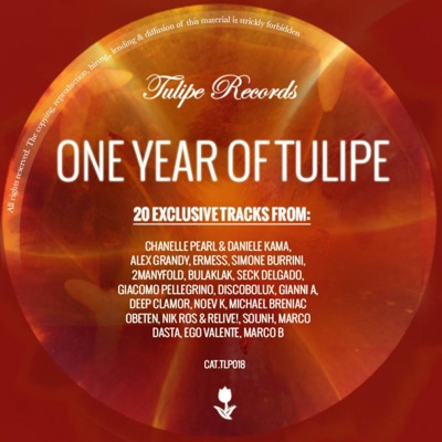 One Year of Tulipe