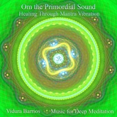 Om the Primordial Sound: Healing Through Mantra Vibration artwork