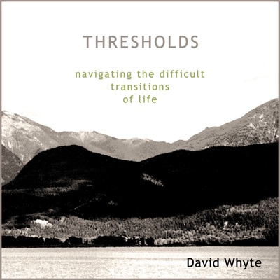 Thresholds: Navigating the Difficult Transitions of Life