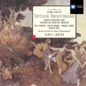 Zemlinsky: Sämtliche Orchesterlieder artwork