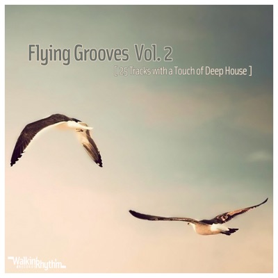 Flying Grooves, Vol. 2 - 25 Tracks With a Touch of Deep House