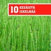 Mikko-sika Mallorcalla