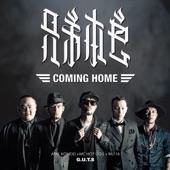 Coming Home artwork