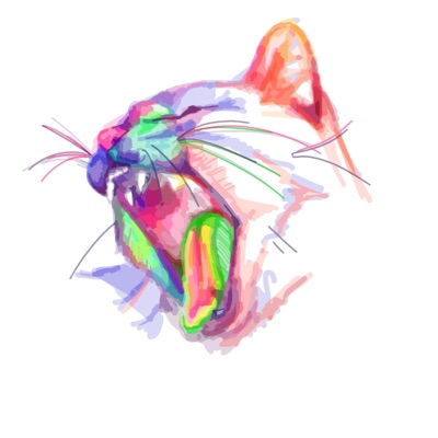 R.C. Cat