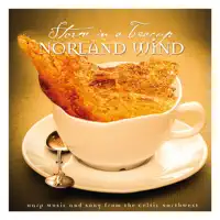 The Raven (feat. Kerstin Blodig, Noel Duggan, Thomas Loefke, Angelika Nielsen & Ian Melrose) — Norland Wind