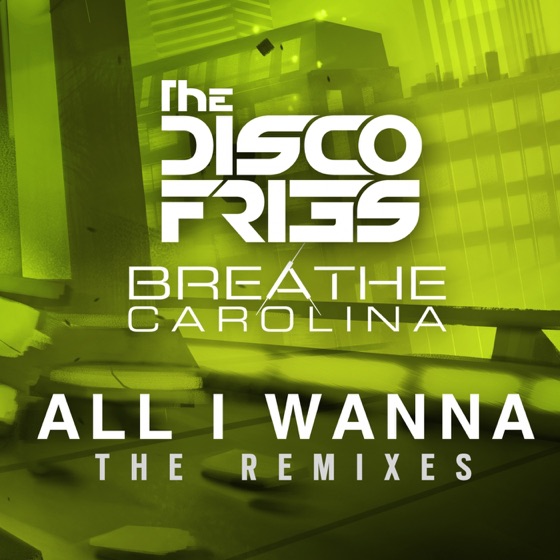 Cover artwork for All I Wanna (Extended Mix)