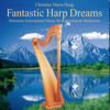 Magic Morning - Christian Maria Haug