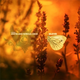 Believer (Extended Mix) [with Nitrous Oxide] Aneym