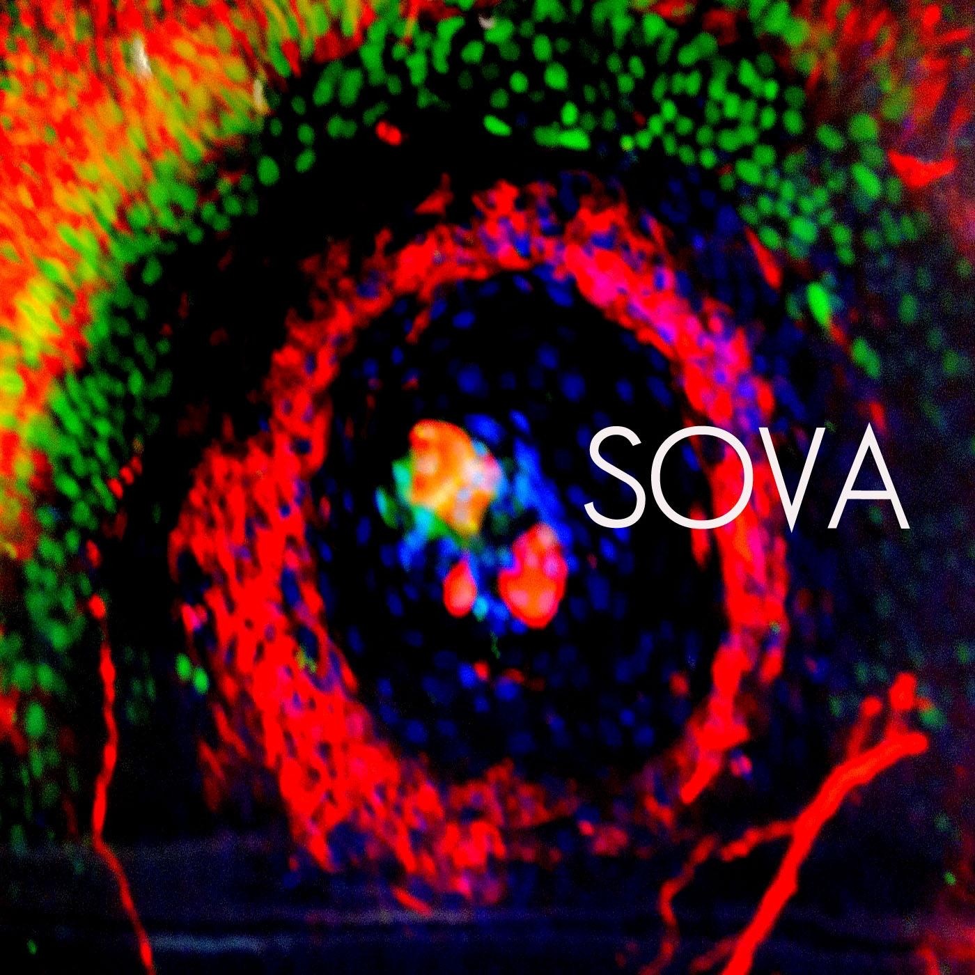 SOVA - Dasha - Austin