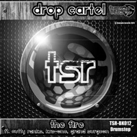 The Fire (feat. Cutty Ranks & KRS-One & Grand Surgeon) - Single - Drop Cartel