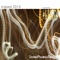 Flugschraube - Ensemble Phoenix Basel lyrics
