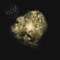 Go Twisters - Disco Ruido! lyrics