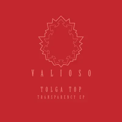 Ascolta 'Transparency EP' di Tolga Top