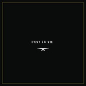 C'est la vie (feat. MellemFingaMuzik) artwork