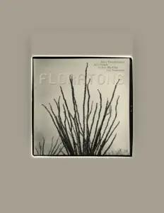 聆聽 Floratone、觀看音樂影片、閱讀小傳、查看巡演日期等！