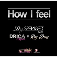 How I Fell (feat. Drica Pippez & Ray Denz) - Single - DJ Spencer