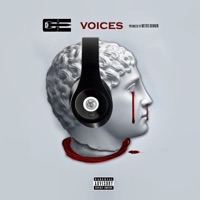 Voices (feat. Metro Boomin) - Single - GE Da Piolet