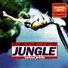 Junior Delgado & Blackboard Junglists - Hot Stuff