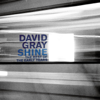 Shine - The Best of the Early Years - David Gray