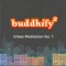 Scan - A Home Meditation - buddhify lyrics
