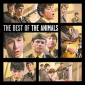 The Best of the Animals artwork