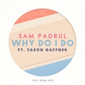 Why Do I Do (Mark Maxwell Remix) [feat. Jason Gaffner] artwork