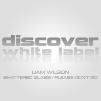 Shattered Glass / Please Don't Go - Single - Liam Wilson