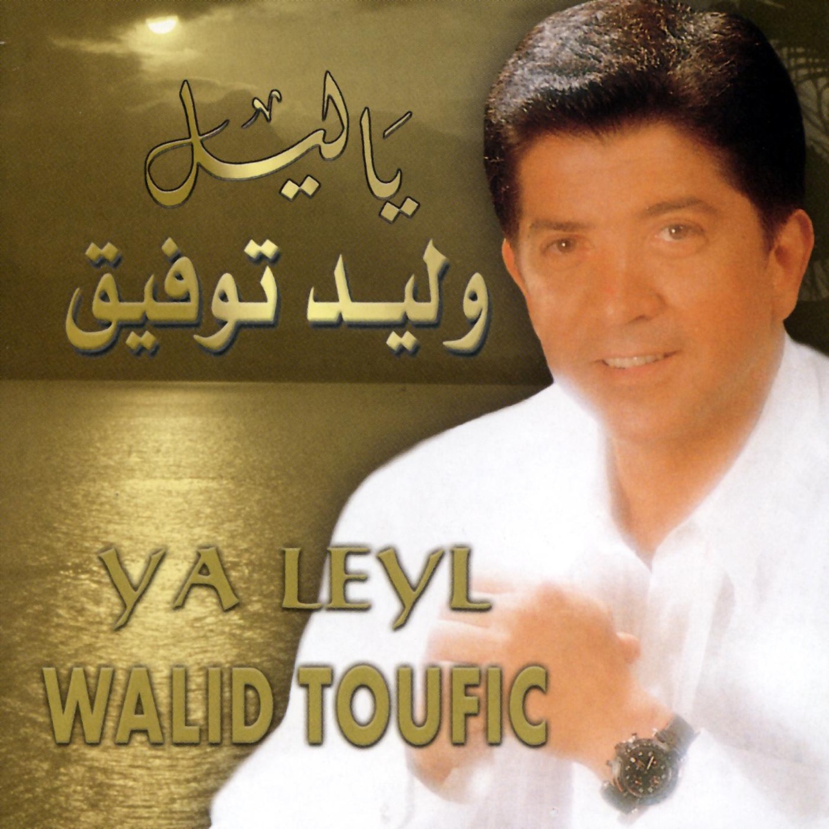 Top Hits of Walid Tawfik by Walid Toufic on Apple Music