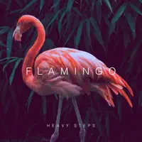 Heavy Steps — Flamingo