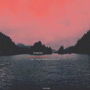 You Said I Would - Single