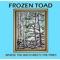 North Of 60 - Frozen Toad lyrics
