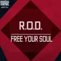 FREE YOUR SOUL