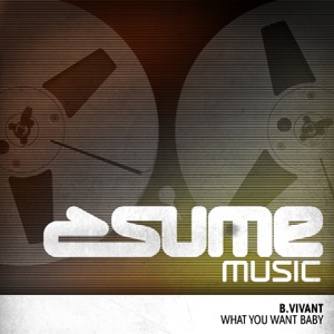 What You Want Baby - Single