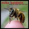Bonus (2 More Jokes) - Mike Baldwin lyrics