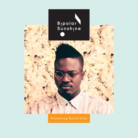 Cover artwork for Trouble