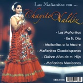 Chayito Valdez - Amor de Madre